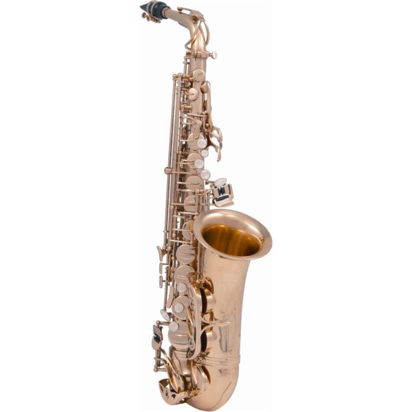 VSM A620-II Sax 600 Contralto