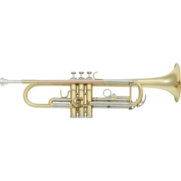 VSM TP300 Tromba Sib